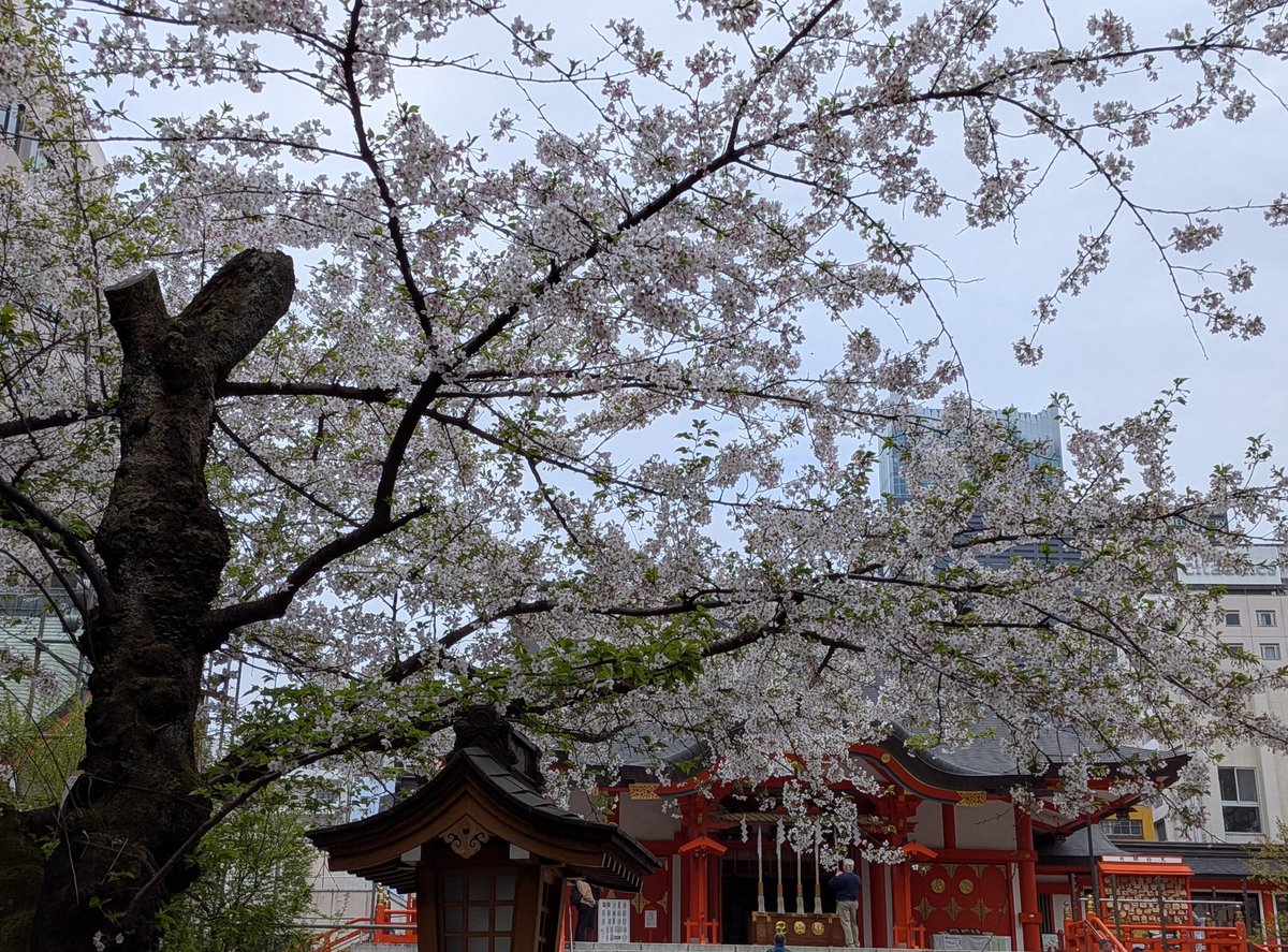 しの⊙⊝⊜⁷💙🐨🐹🐱🐿️🐥🐻🐰💜 tweet media