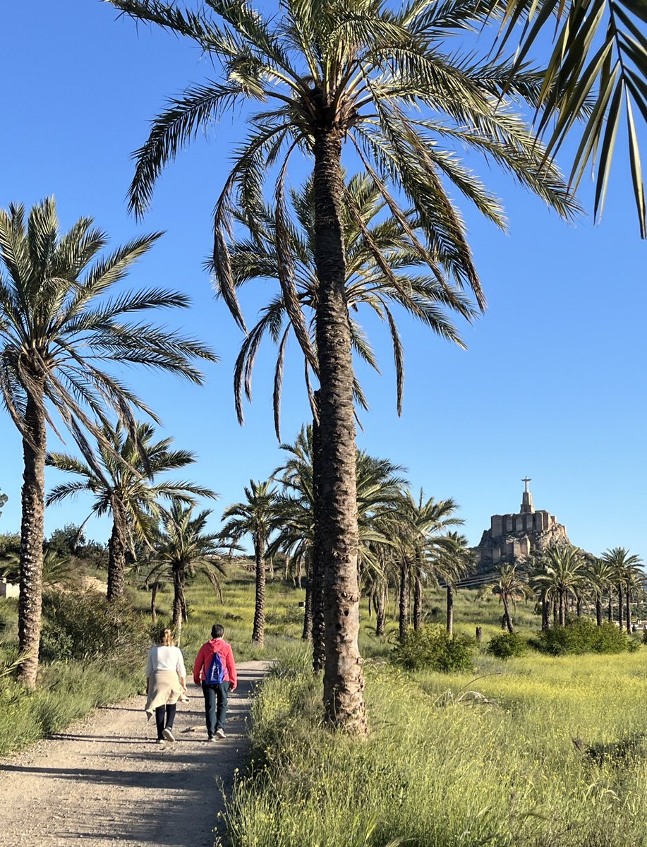 En un lugar de la Huerta tweet media