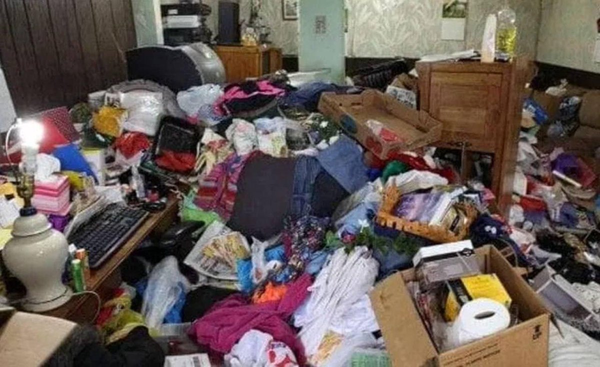 Обыватель tweet media