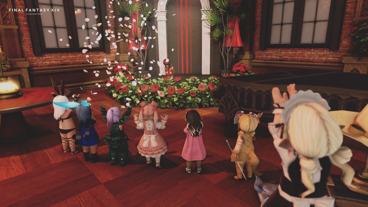 プラリネ✤Anima tweet media