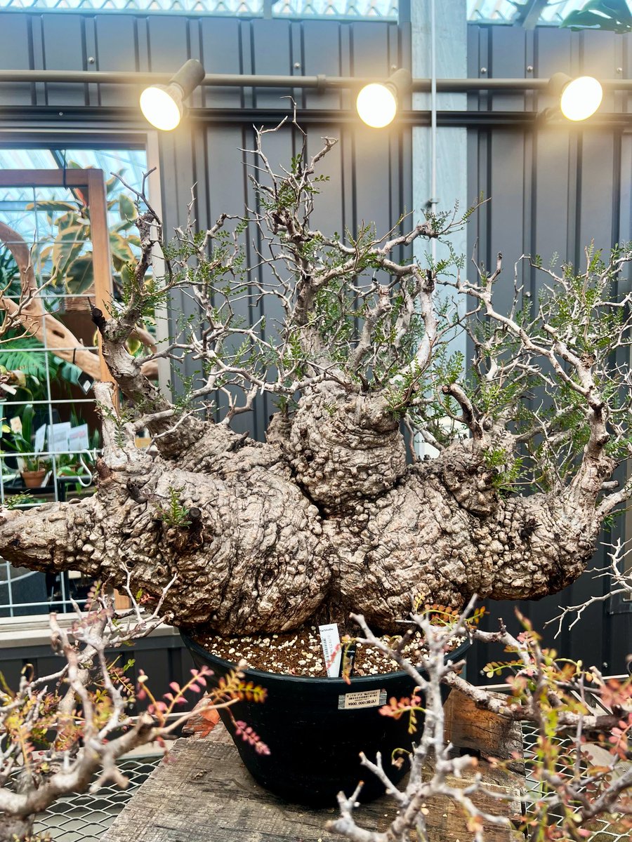 出口陽/aki tweet media