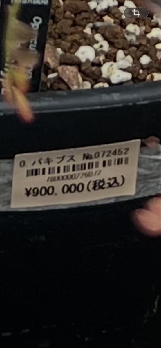 出口陽/aki tweet media