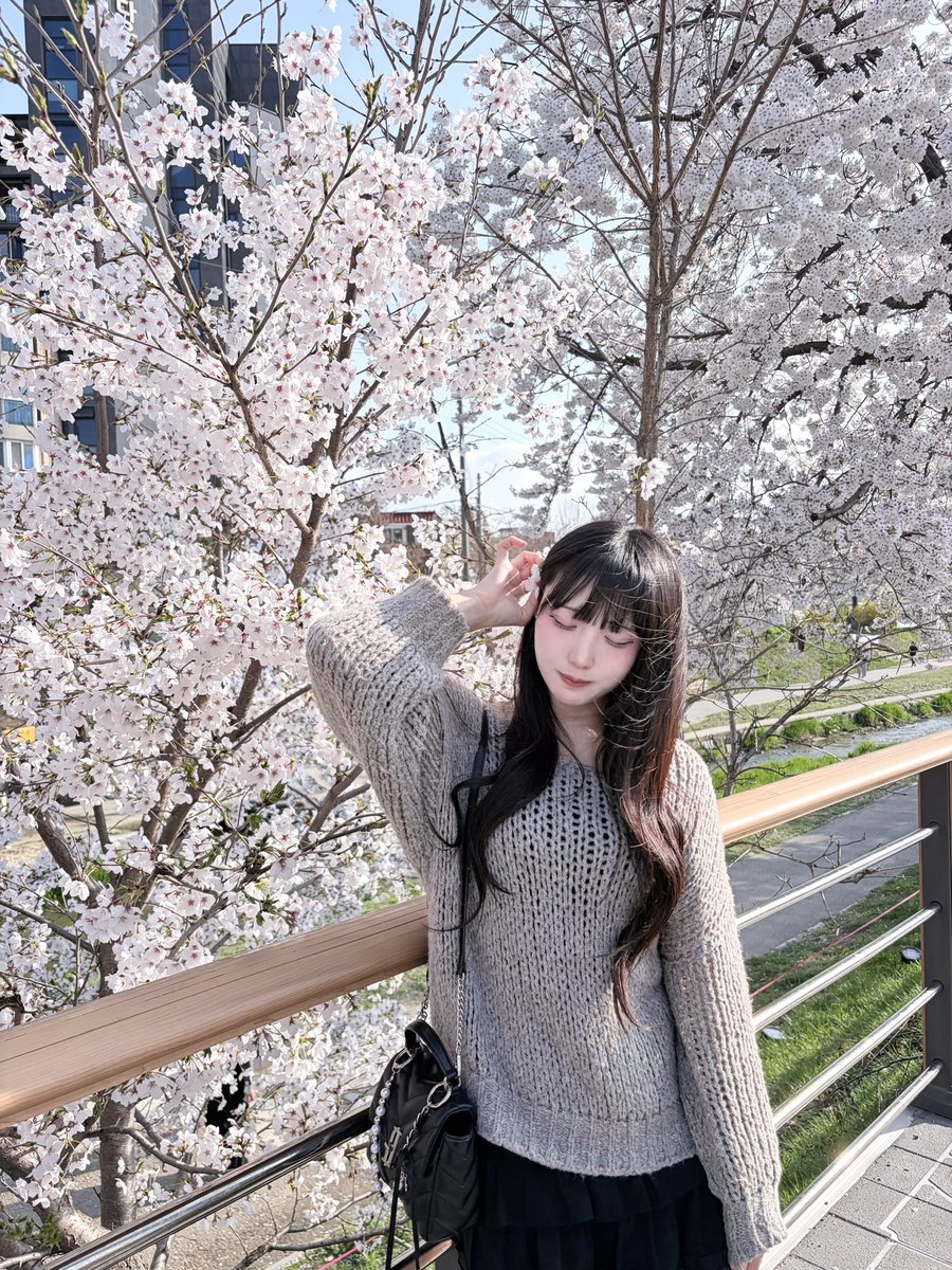 우사 うさ tweet media