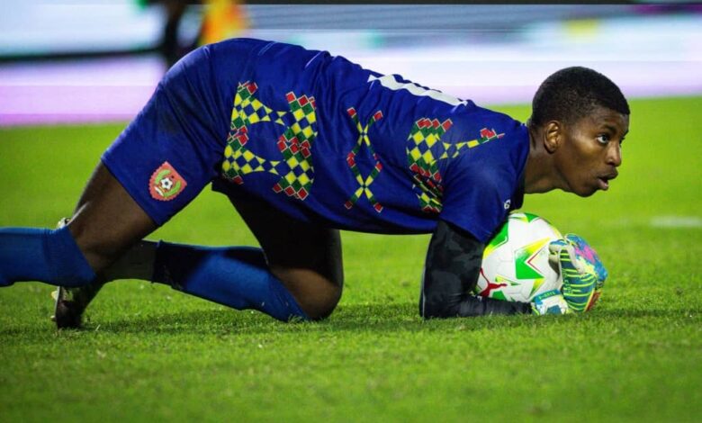 MundoDosGuarda-Redes tweet media