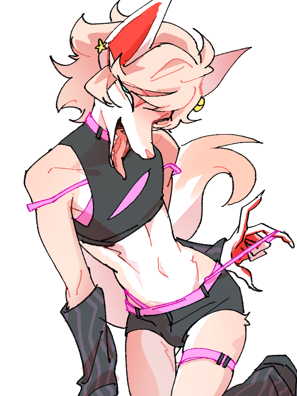 chihuahua lover tweet media