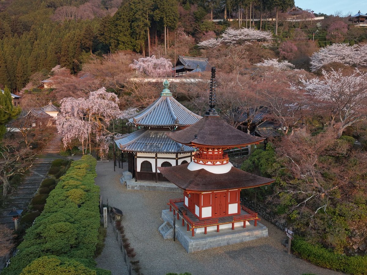 令和8年4月3日朝、上空からの写真です。 無事に修復を終えた多宝塔と