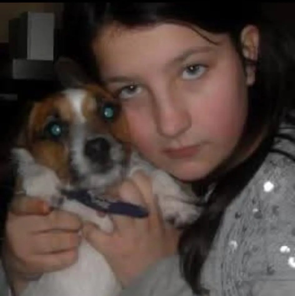 VoxPopuli tweet media