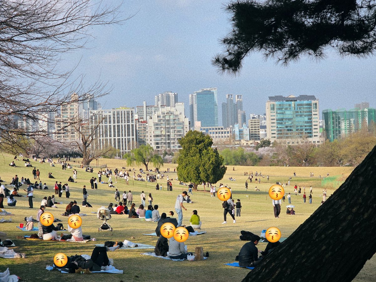 정가드 tweet media