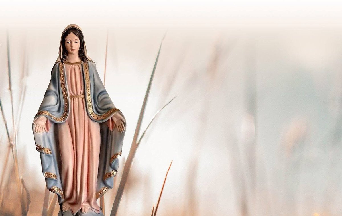 Felicisimo Jr Genteroy tweet media