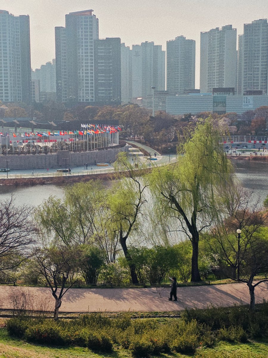 정가드 tweet media