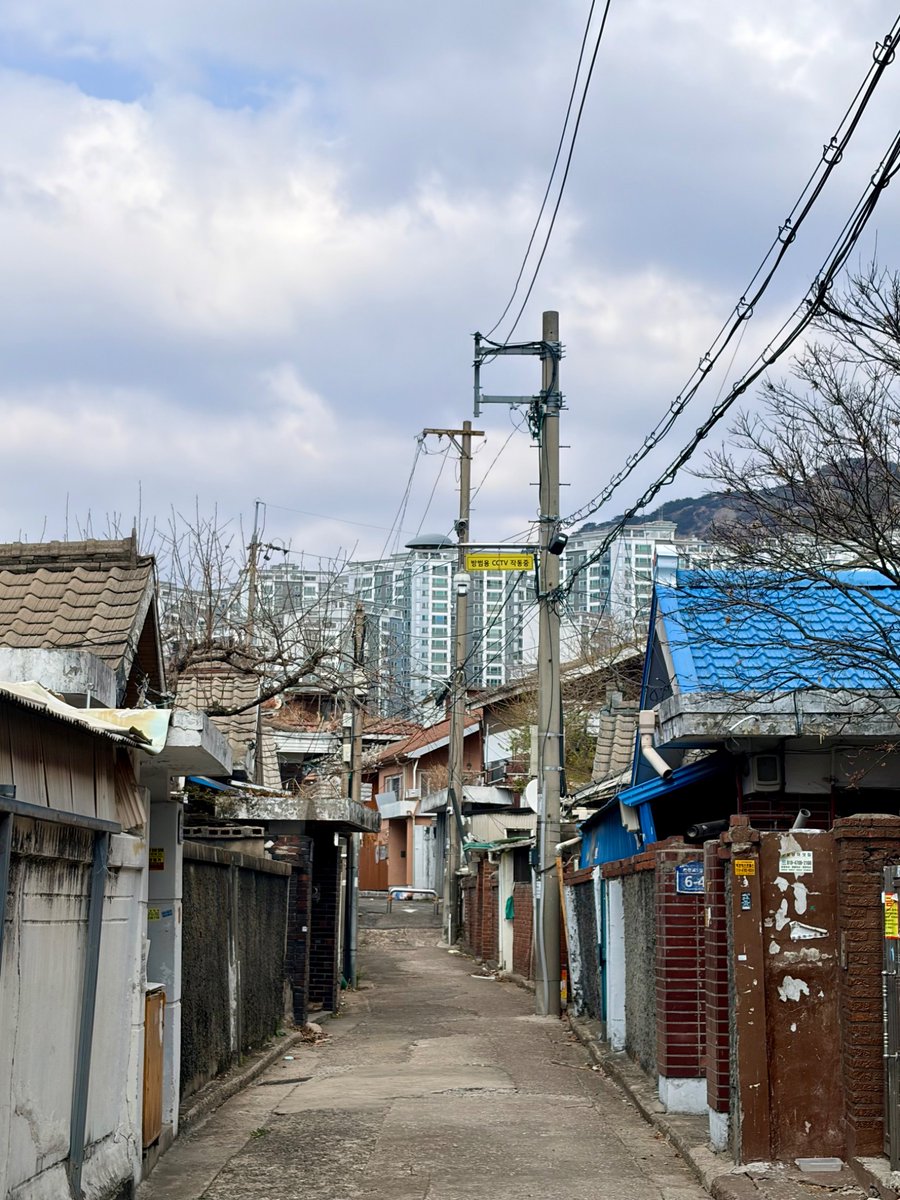 유지영 tweet media