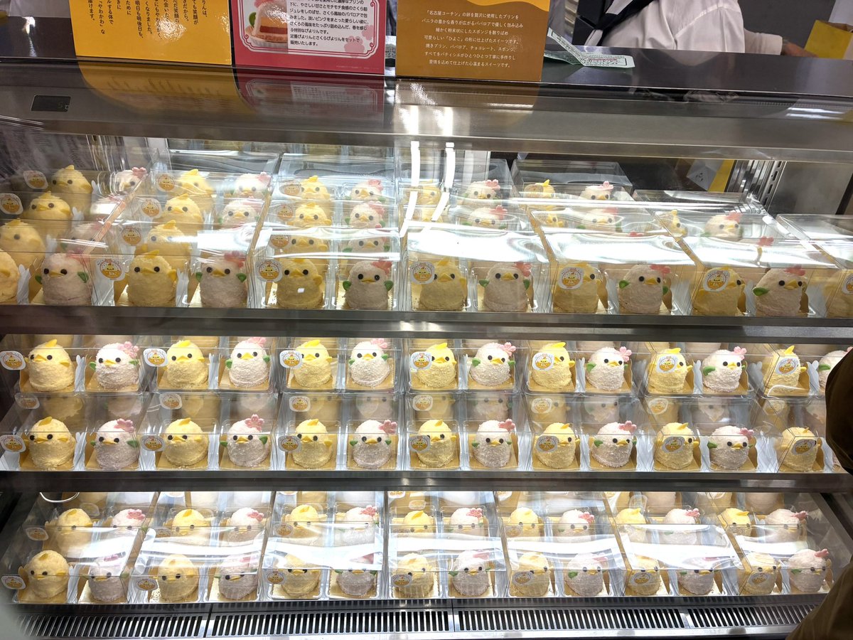 もさお@ぼっち旅行マン🐰📒 tweet media