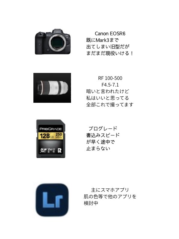 しんしん tweet media