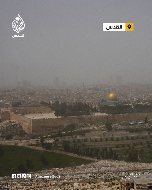 ياسر الزعاترة tweet media