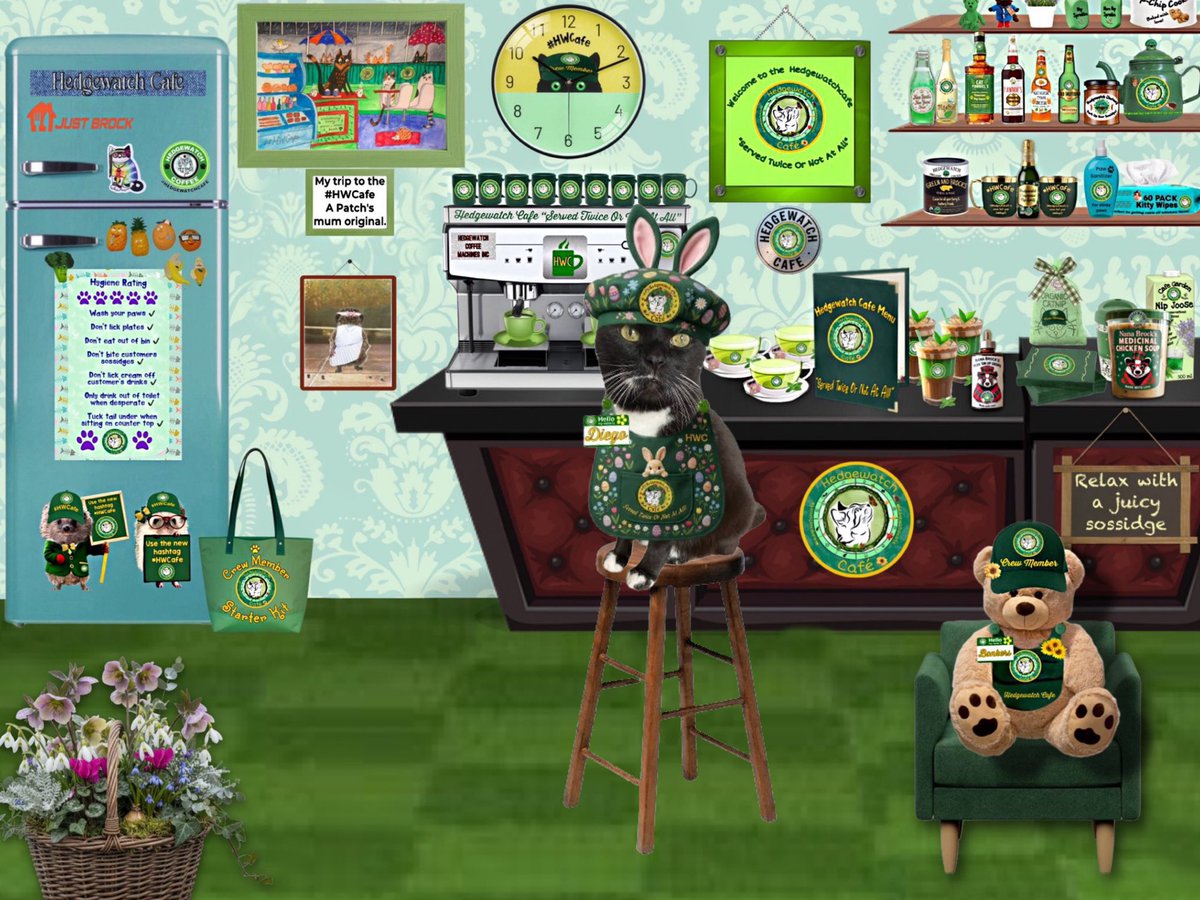 Diego 🌈 & Alice 🐈‍⬛🐈 tweet media