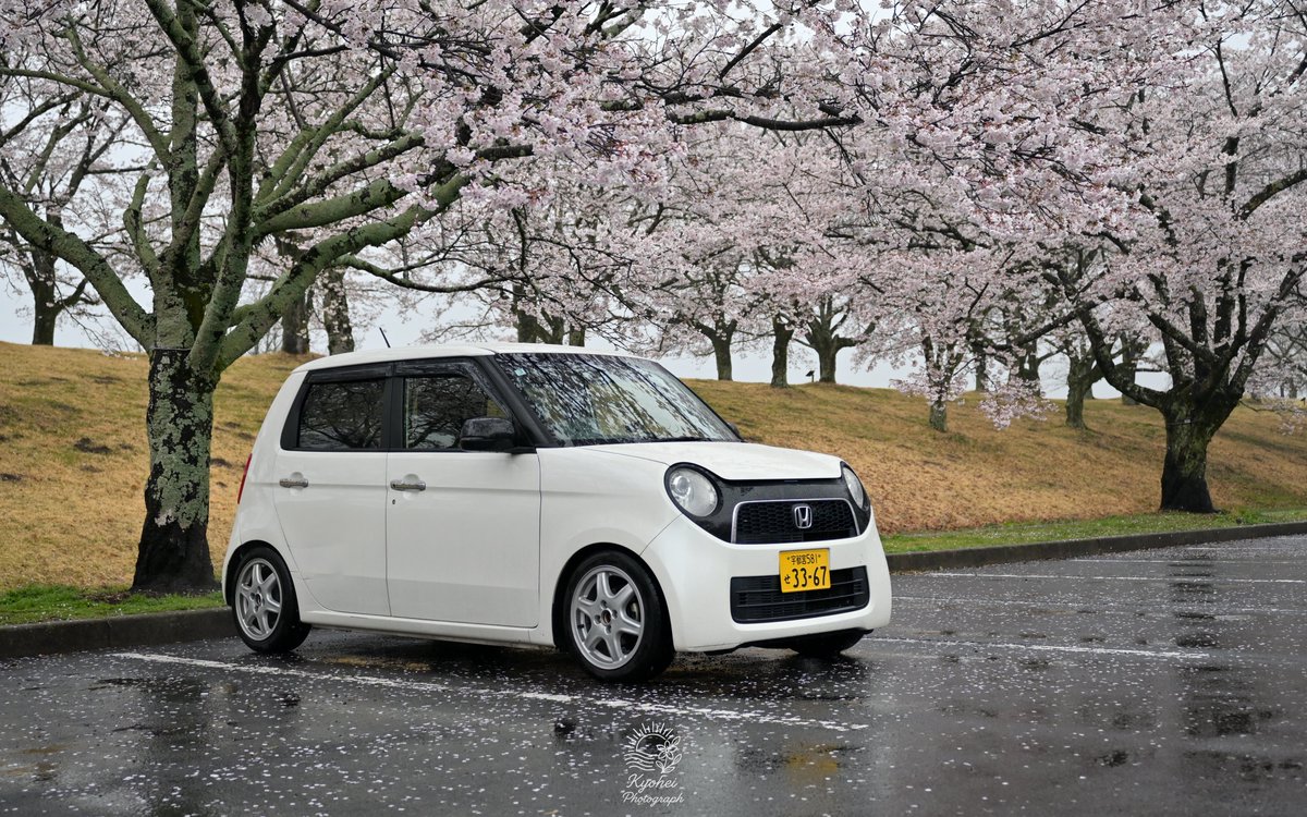 きょーへー tweet media