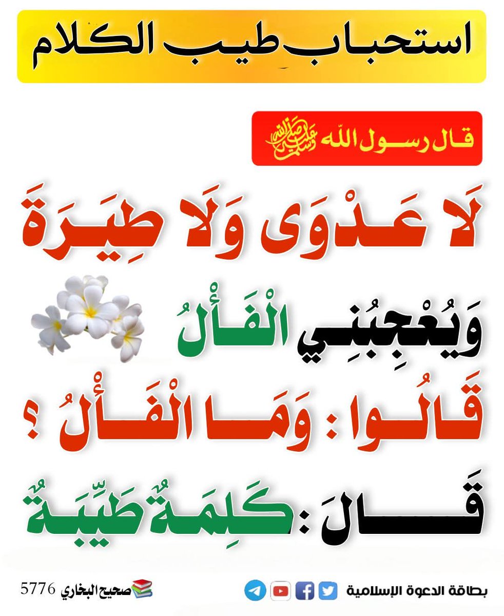 العقيدة الصحيحة📚 tweet media