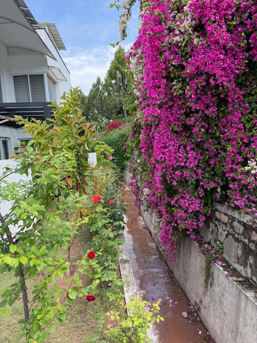 Aamir Ilyas Rana tweet media