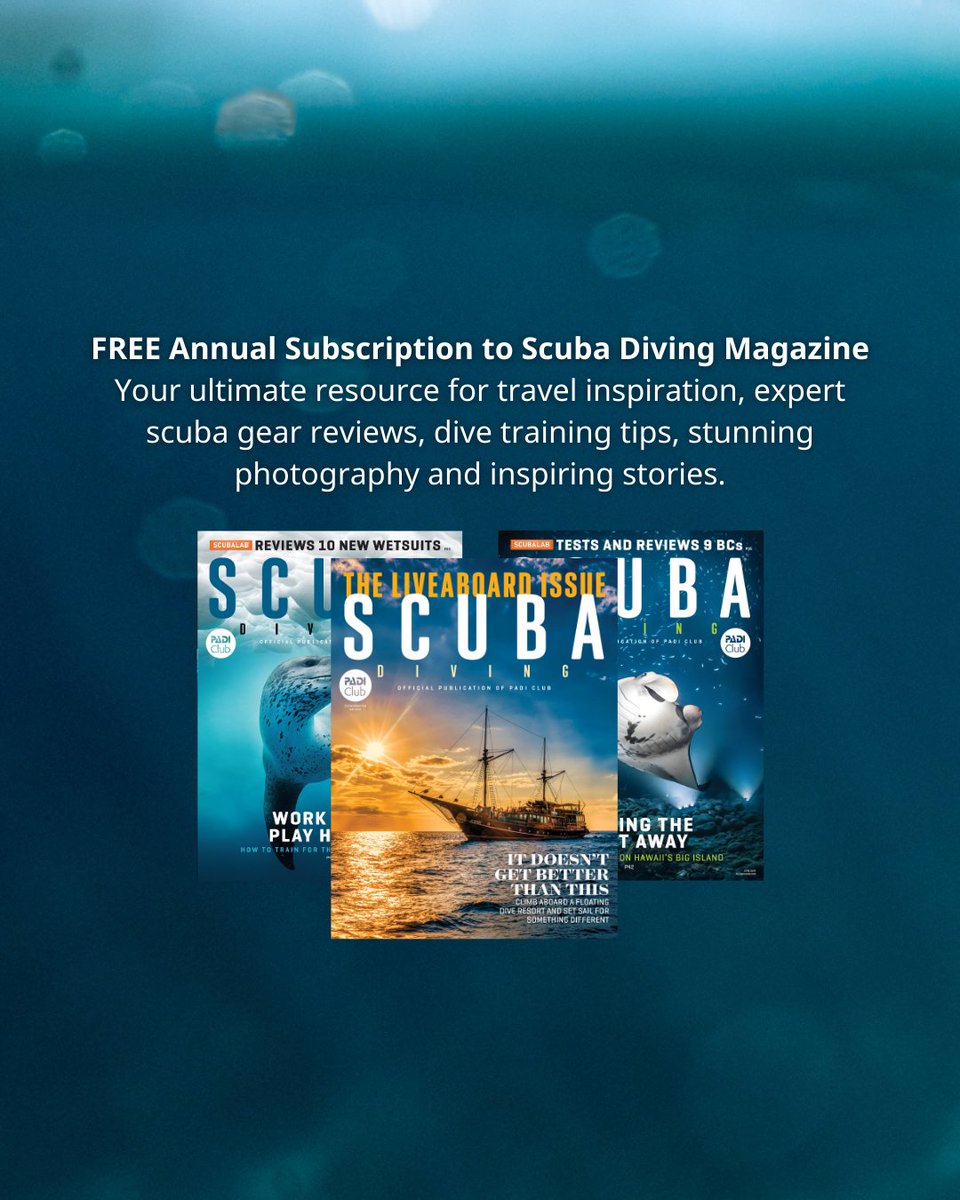 PADI's tweet image. What club members love most... ➡️
Whether you’ve been diving nonstop or haven’t splashed in a while, PADI Club helps you feel refreshed, prepared, and totally dialed in. 🌊

Join PADI Club today and claim your benefits. 💙
Tap here 🔗 store.padi.com/en-us/padi-clu…

#PADI #PADIClub