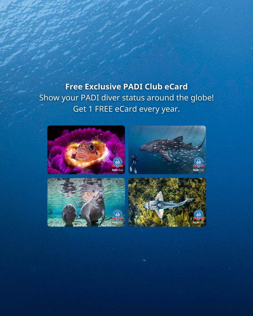 PADI's tweet image. What club members love most... ➡️
Whether you’ve been diving nonstop or haven’t splashed in a while, PADI Club helps you feel refreshed, prepared, and totally dialed in. 🌊

Join PADI Club today and claim your benefits. 💙
Tap here 🔗 store.padi.com/en-us/padi-clu…

#PADI #PADIClub