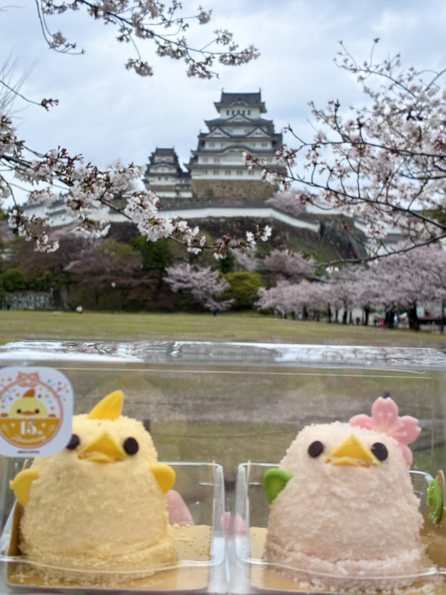 もさお@ぼっち旅行マン🐰📒 tweet media