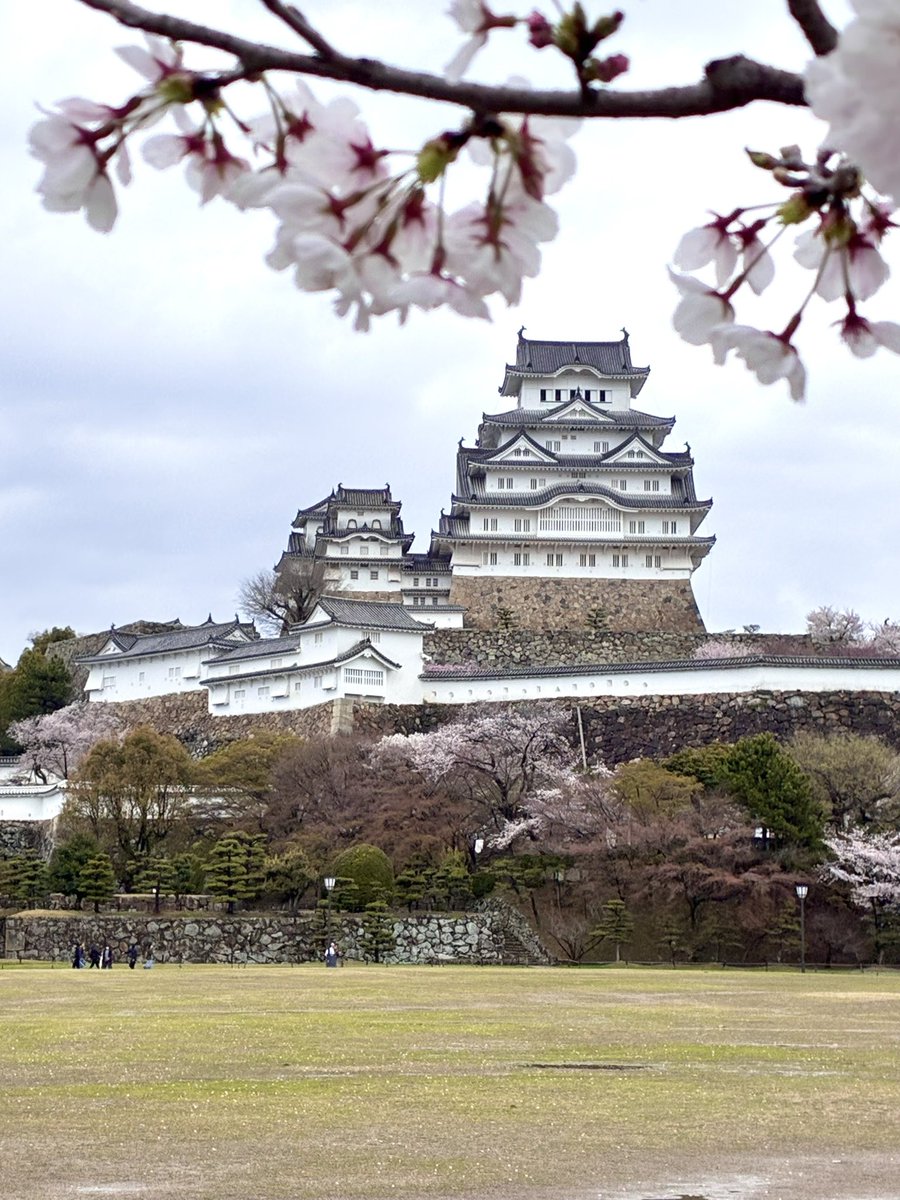 もさお@ぼっち旅行マン🐰📒 tweet media