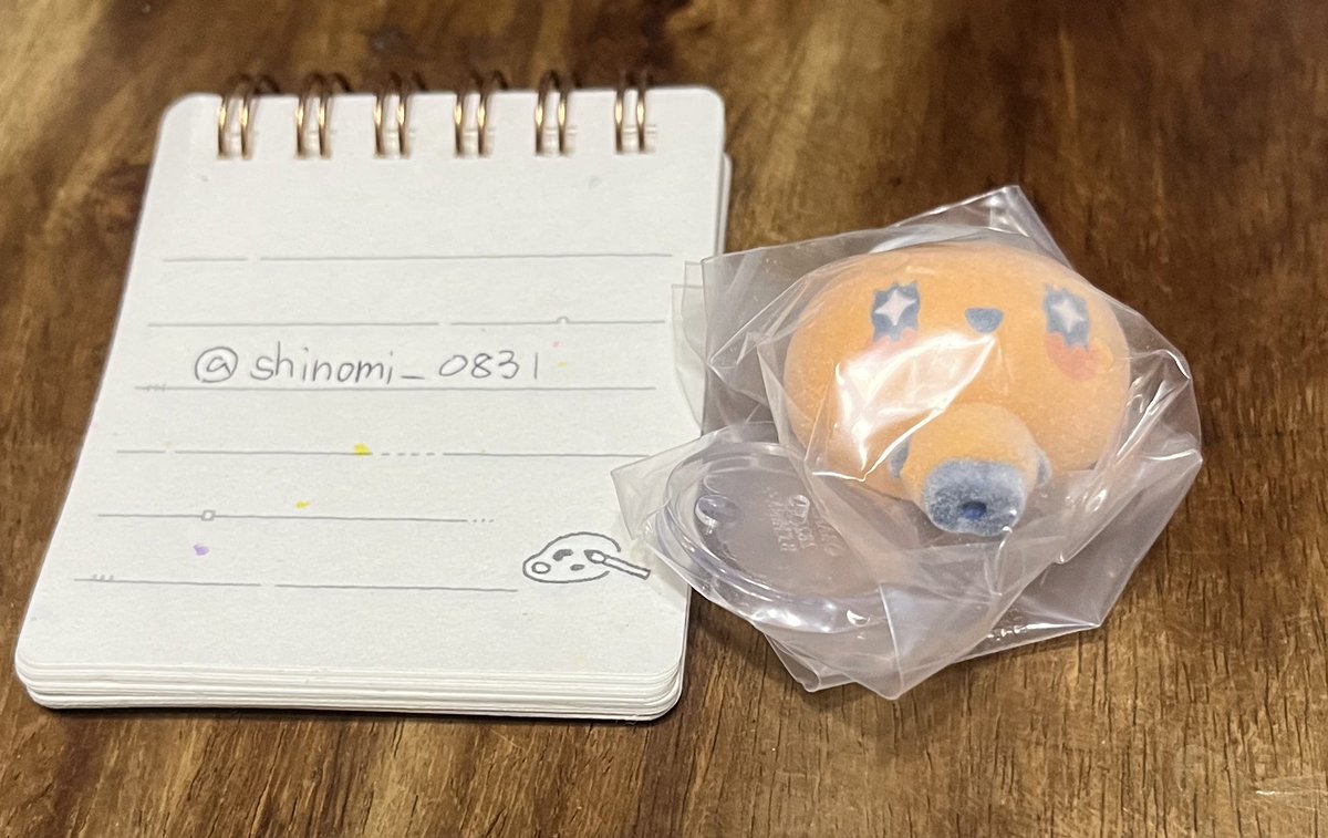 しのた tweet media