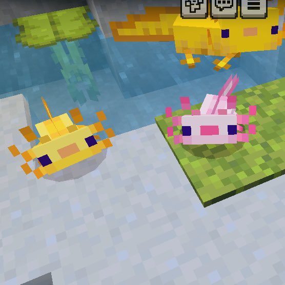 Flare🐈🌈 tweet media