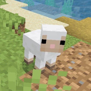 Flare🐈🌈 tweet media