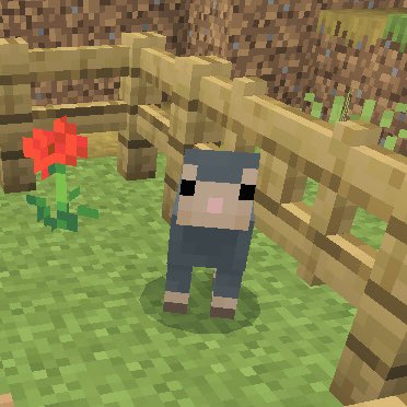 Flare🐈🌈 tweet media