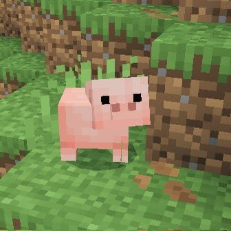 Flare🐈🌈 tweet media