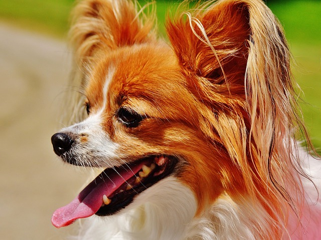 Monica Bennett tweet media