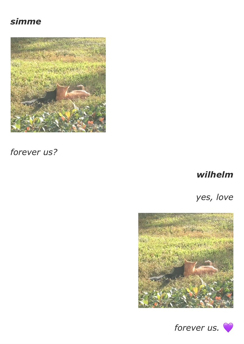 m ݁ ˖Ი𐑼⋆ tweet media