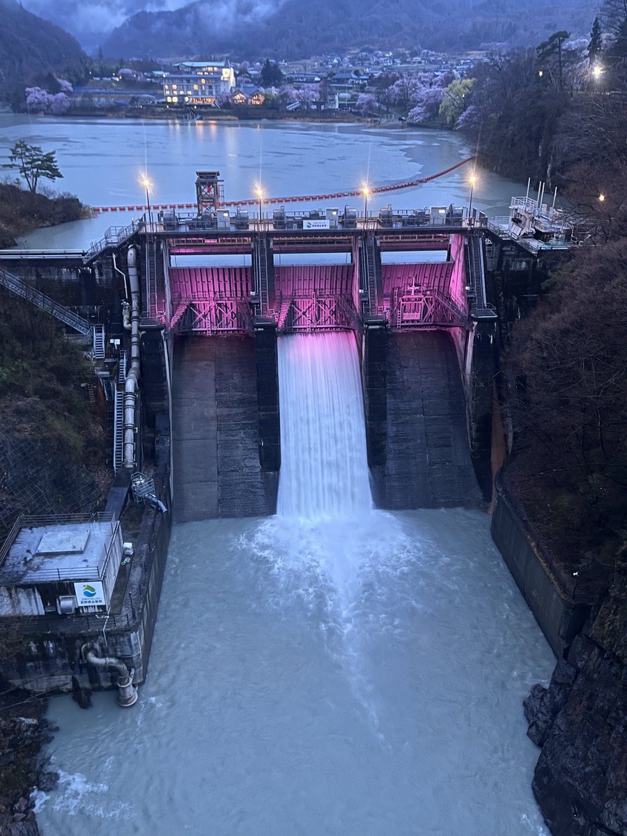 ダム猫🐈 tweet media