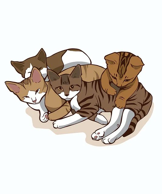 Darrell Grody tweet media