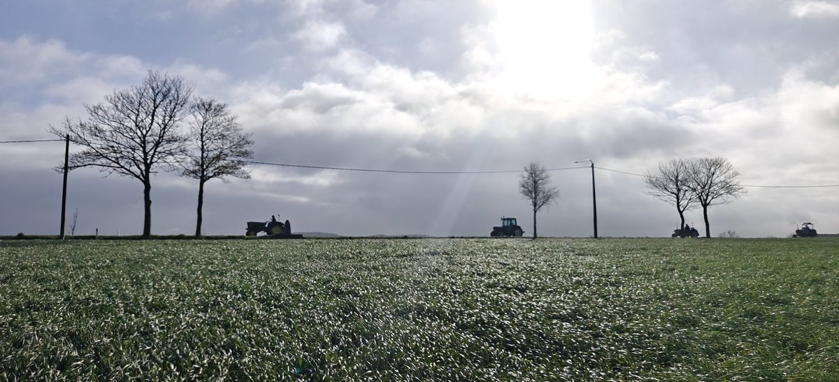 DeDebosschereD's tweet photo. Loker 9u38
#vrtweer https://t.co/X628uWvbey