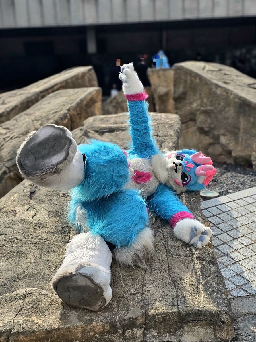 0GO_jap's tweet photo. 발라당 산호! 
@furry_ikper https://t.co/nK8rYxEP3K
