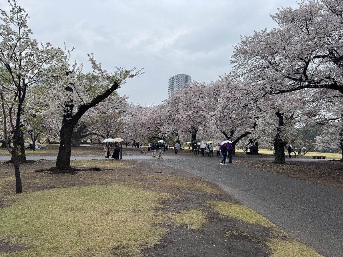 みい🦫低浮上 tweet media