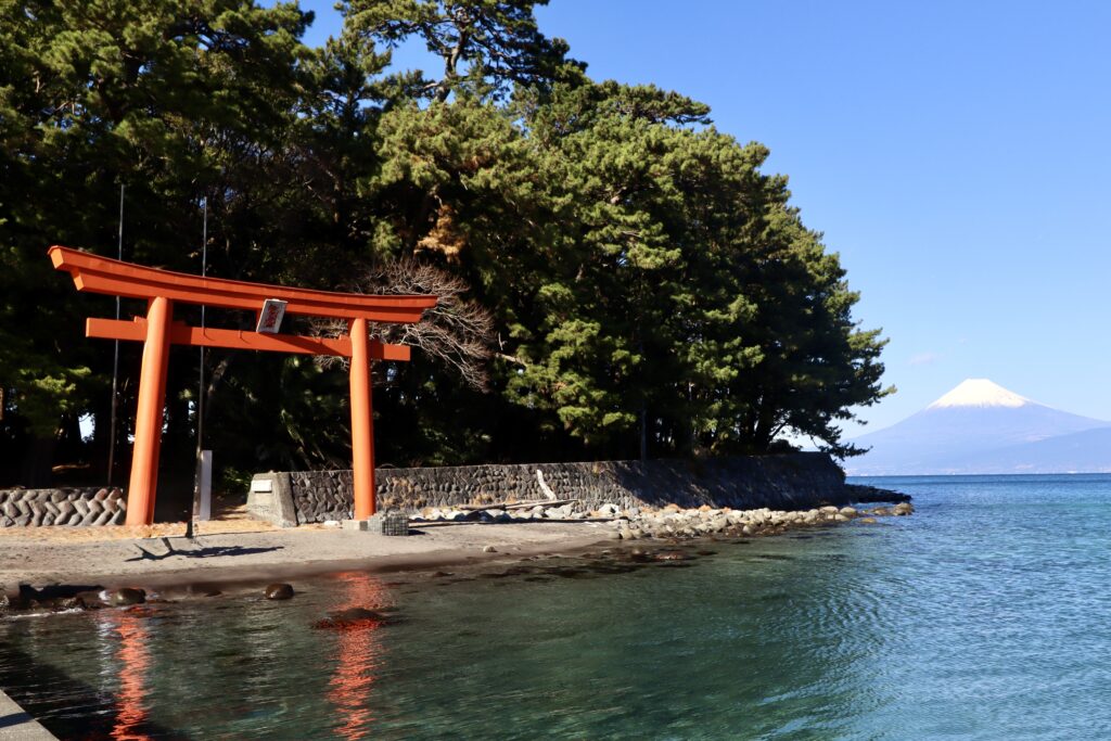 ぴんちょす🍙沼津暮らしブログ tweet media