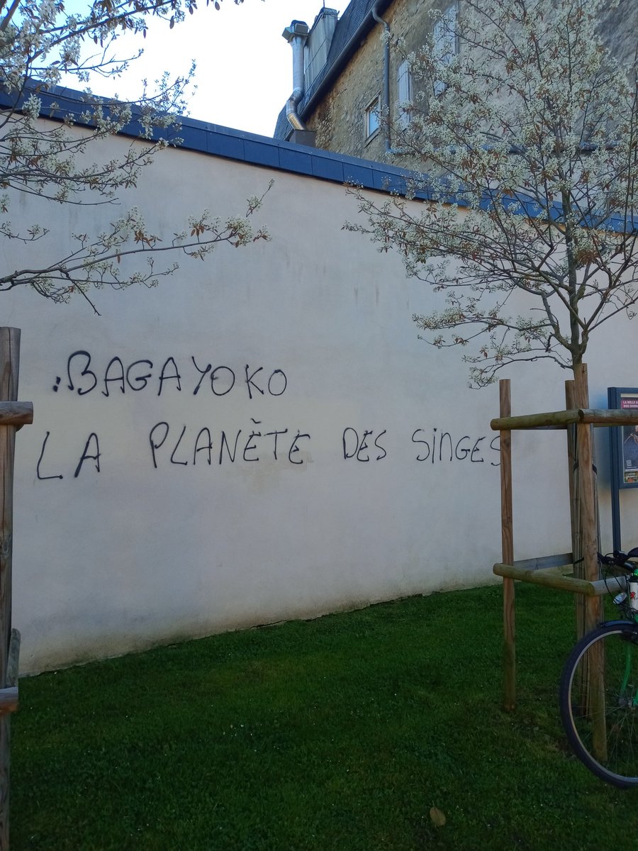 Sylvie Ferrer tweet media