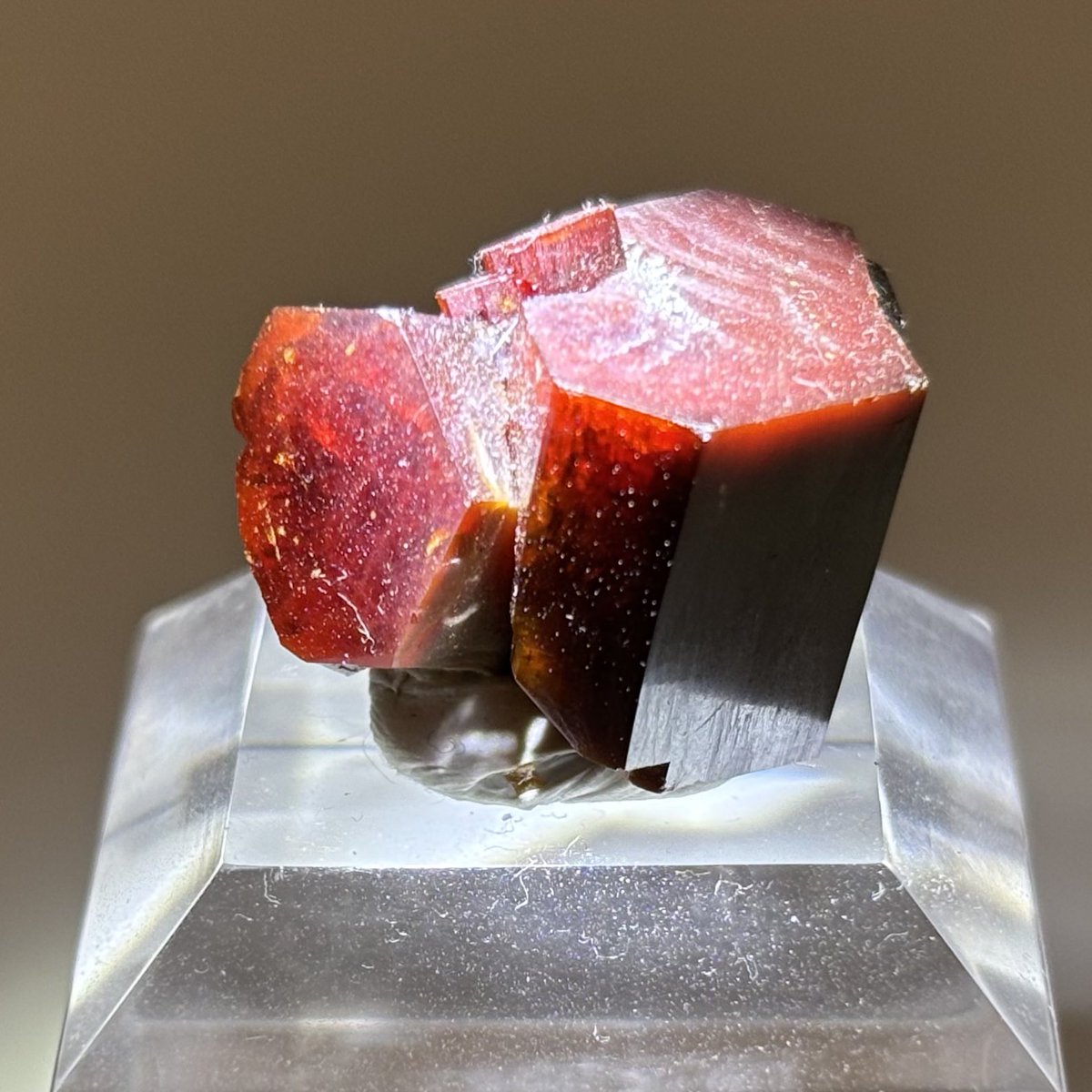 まーぼー tweet media