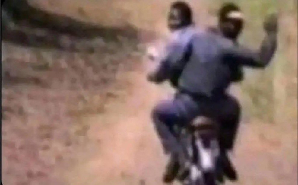 NinoBrown US tweet media