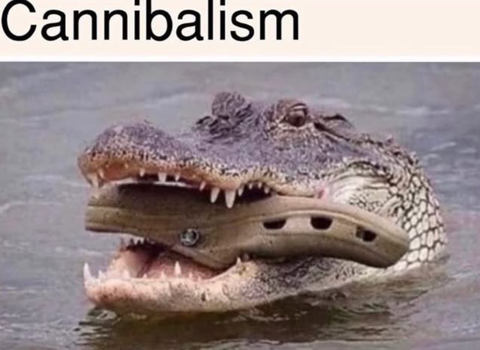 career_re's tweet image. #AcademicTwitter😂#phdvoice #PhDlife