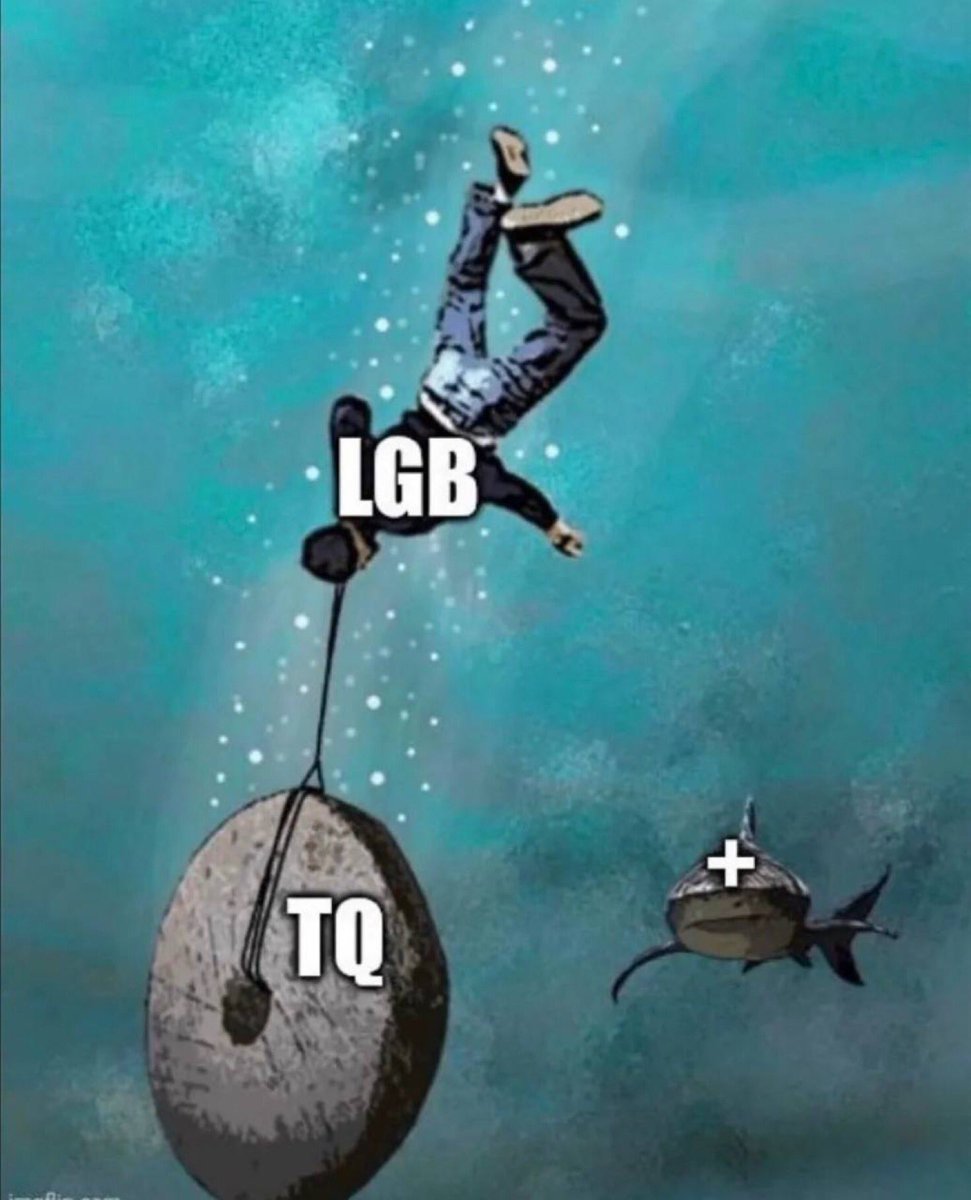 Monika Hug tweet media