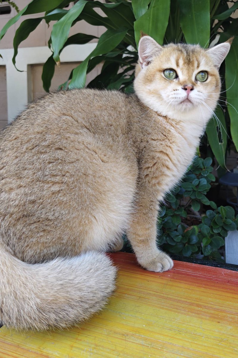นนท์ ระยอง tweet media