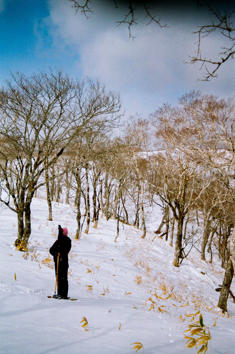_____K1997's tweet photo. もう雪溶けてきたから雪景色は終わるね
除雪は嫌いだけど、なんか寂しいね https://t.co/28D4azYTGi