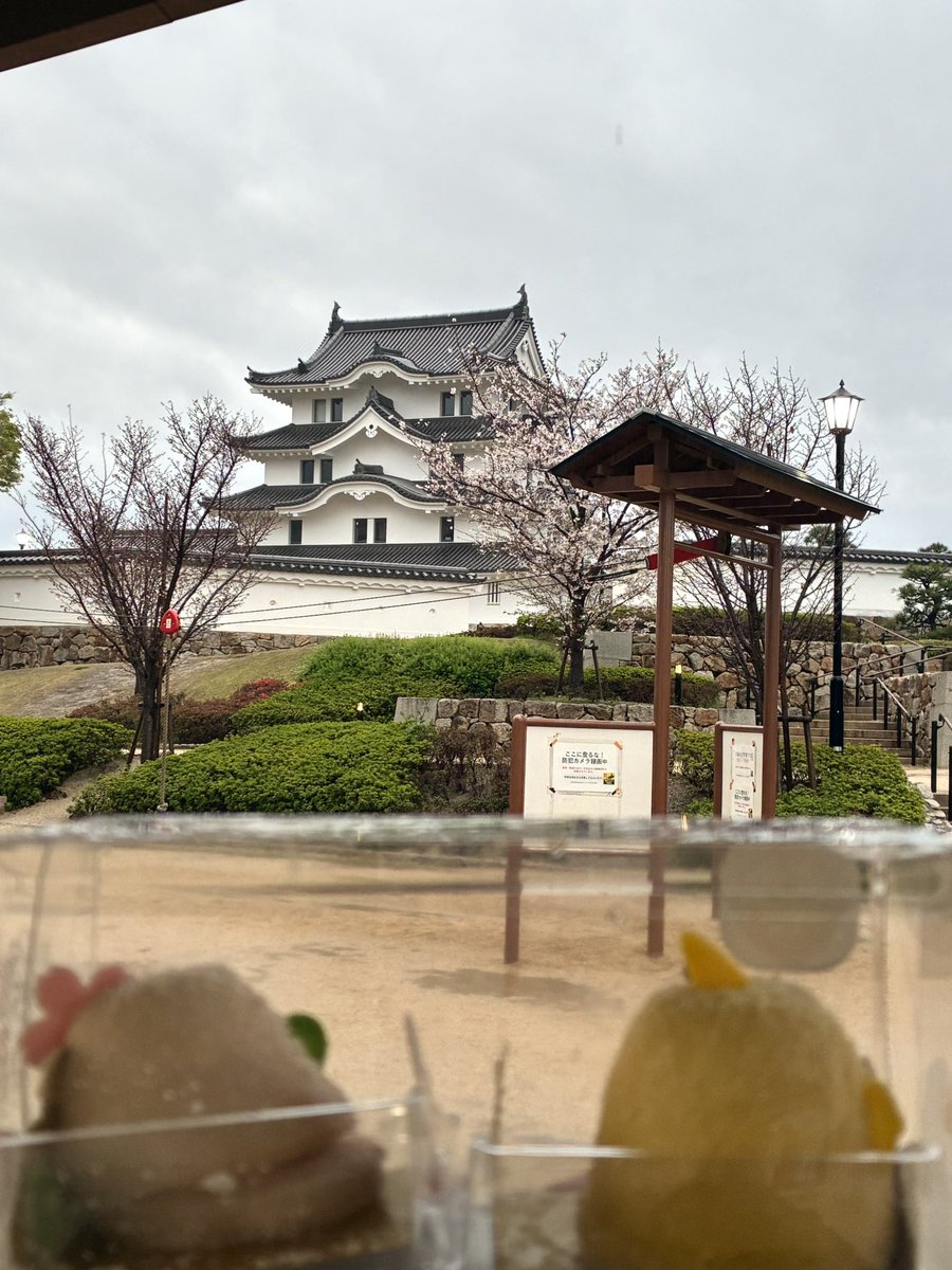 もさお@ぼっち旅行マン🐰📒 tweet media