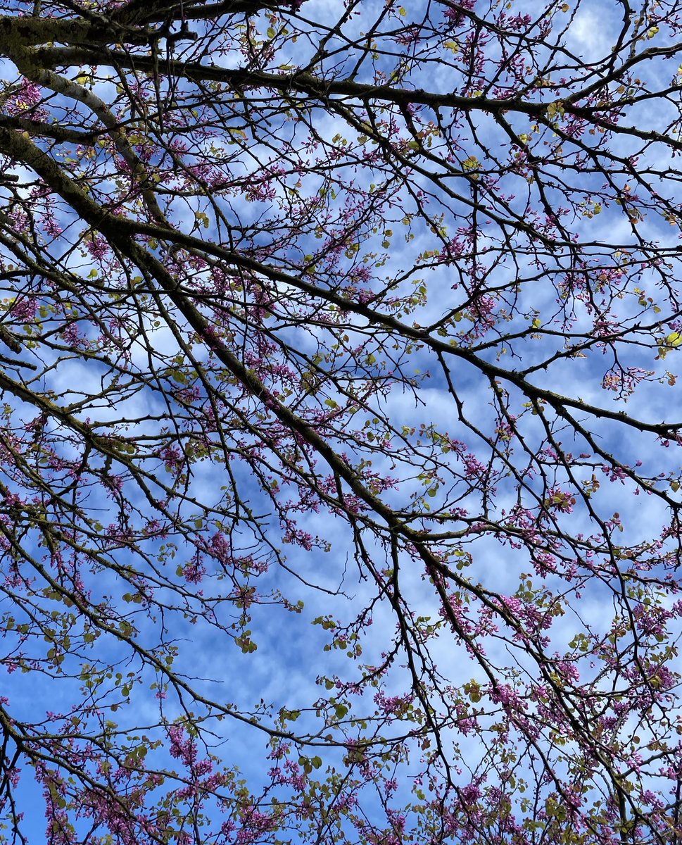 lucía ౨ৎ tweet media