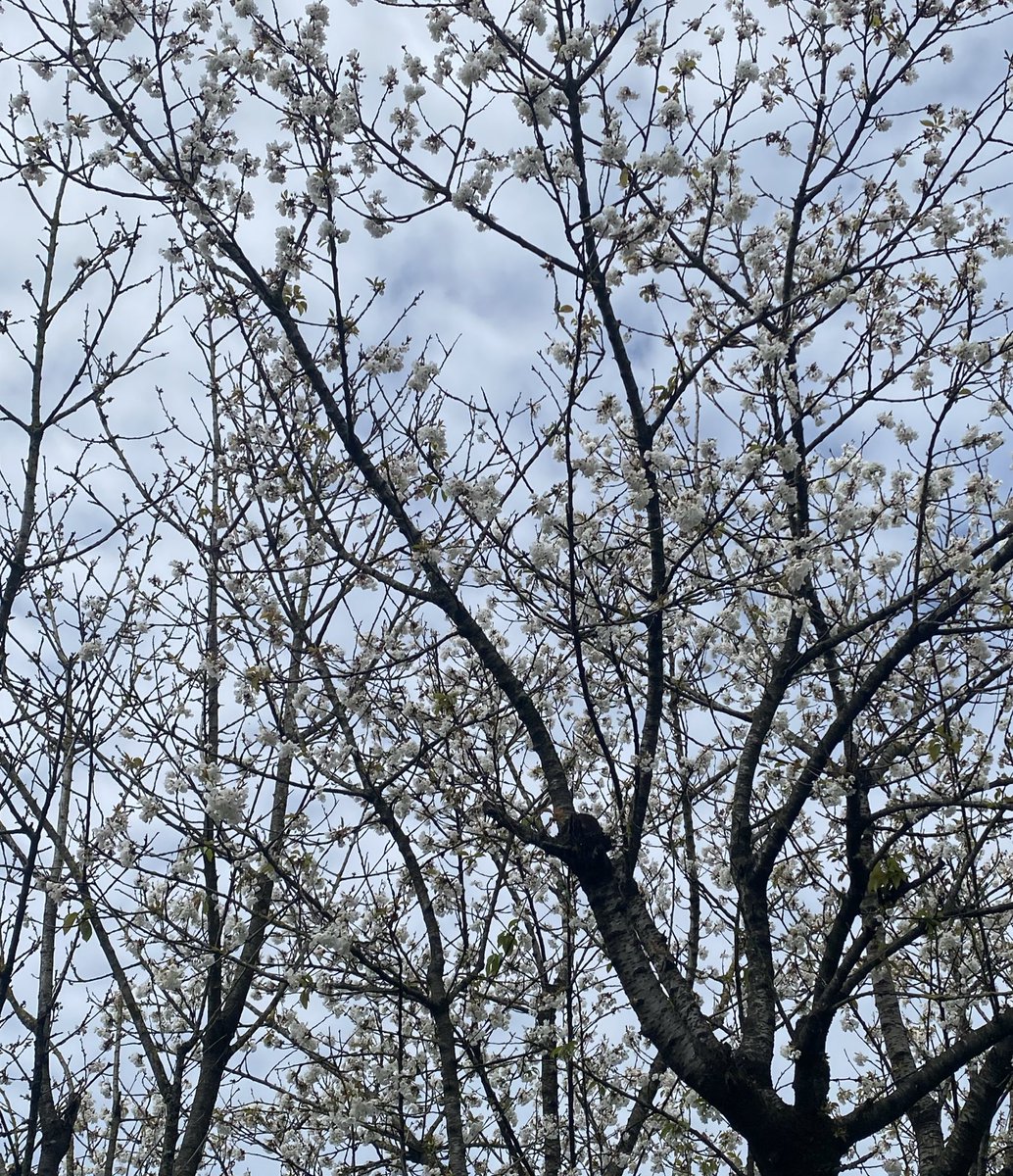 lucía ౨ৎ tweet media