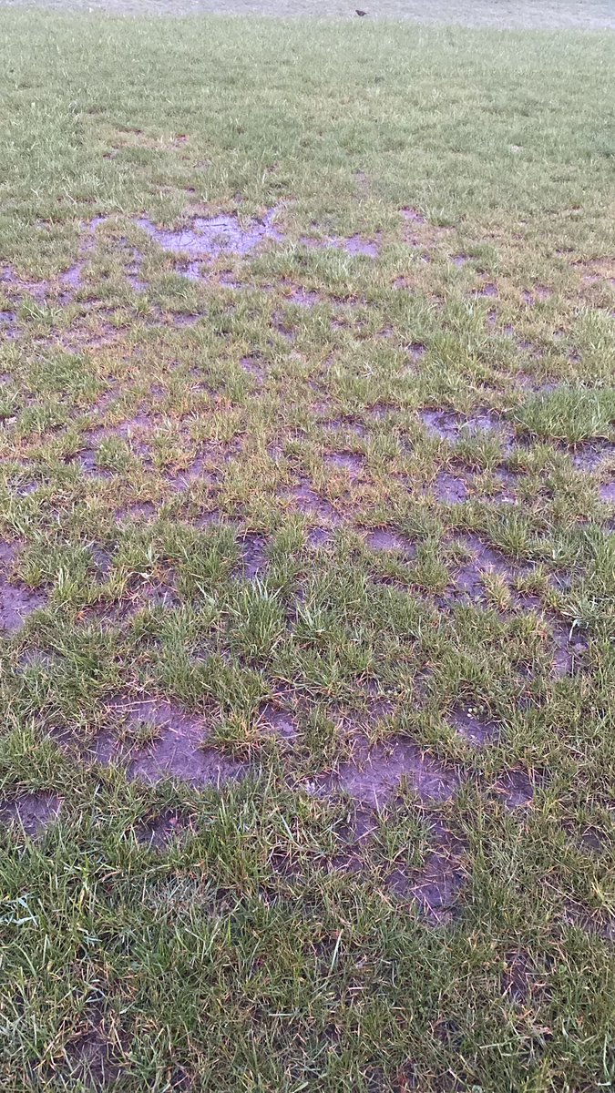 WestmorlandFL's tweet photo. POSTPONED!

@EndmoorKGRFC v @WetheriggsUtdFC is off due to a waterlogged pitch https://t.co/Mwt68rWxyR